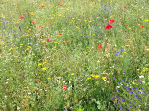 0143a87cadb4ffccf2b22b6c6fae2d9fb4f1457c87