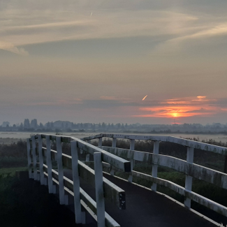 bruggetje natuurgebied